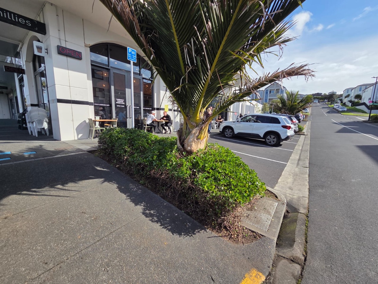 Low hedge and palm bed clipped back along the parking bays outside a row of village shops