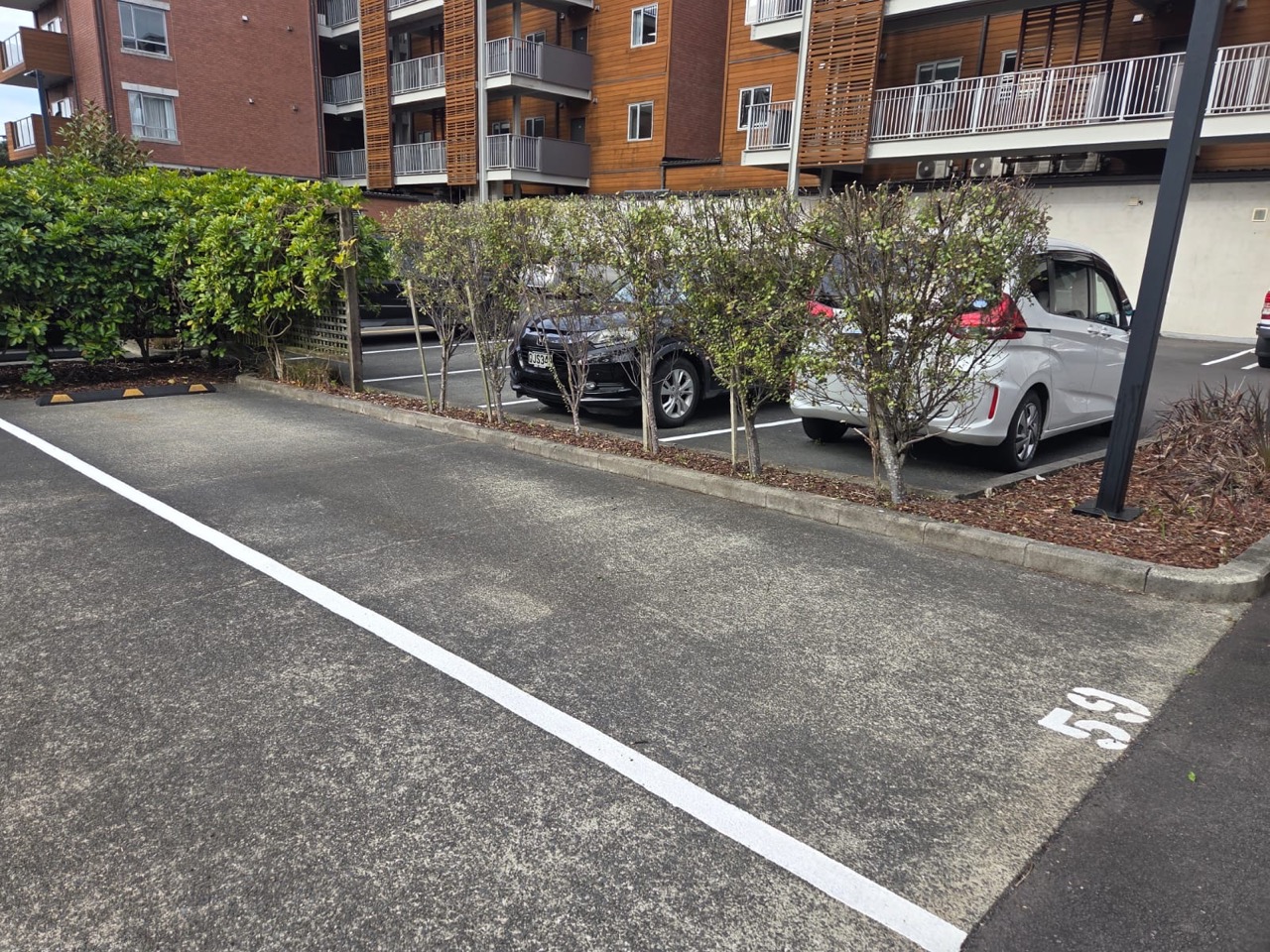 The same hedge cut back hard and square, with the kerb and carpark cleared, after a Tidy Yard visit
