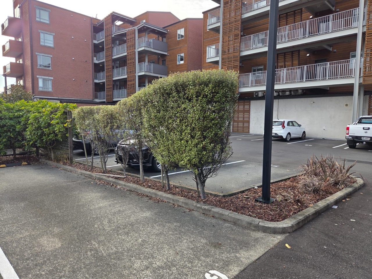 Overgrown hedge spilling over the kerb of a body corporate carpark before Tidy Yard trimmed it